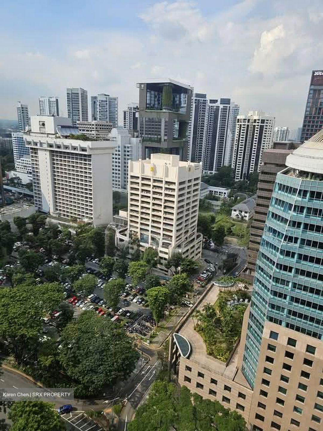 TwentyOne Angullia Park (D9), Condominium #560126251